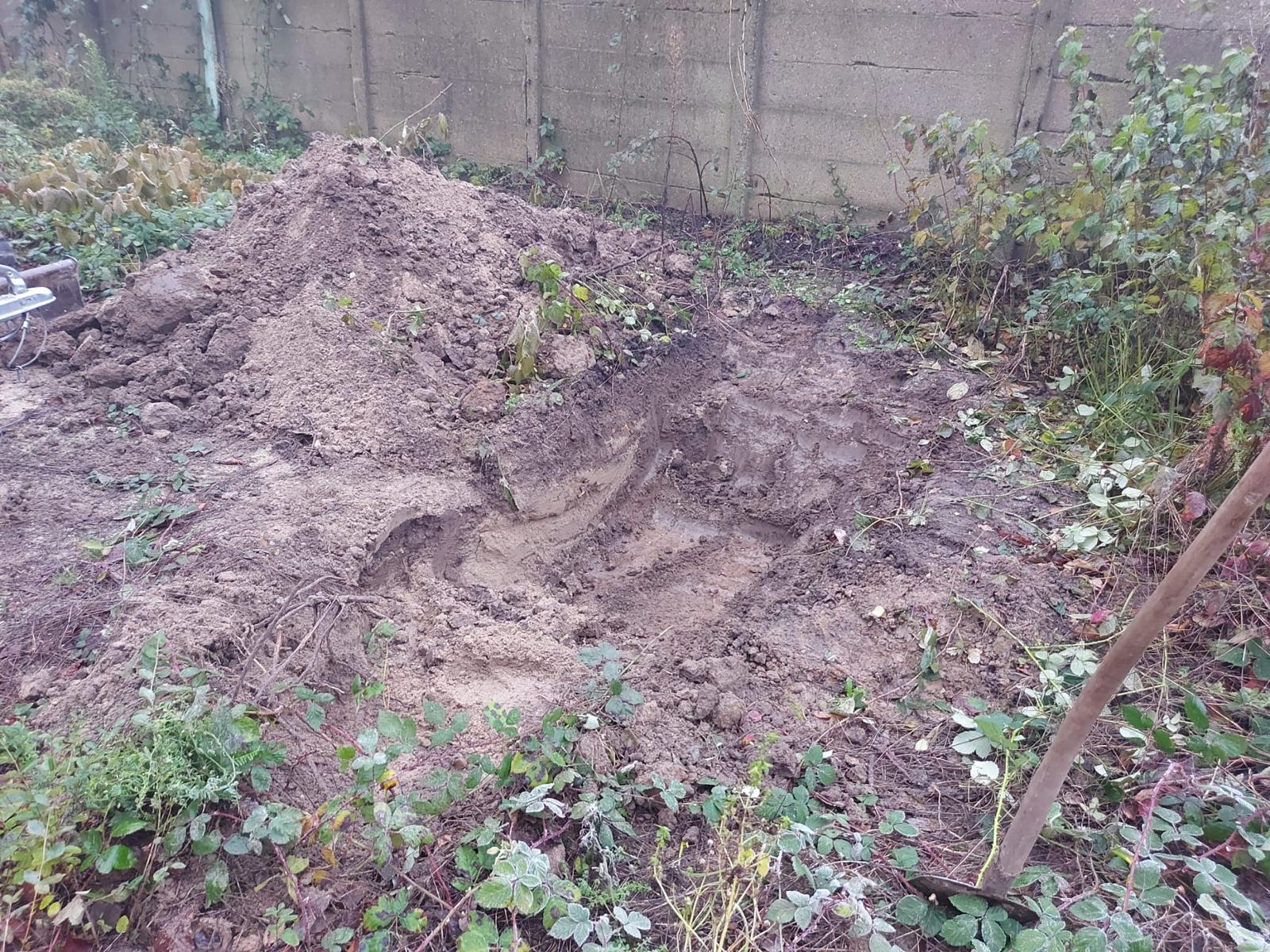 japanse duizendknoop afgraven en zeven in tiel